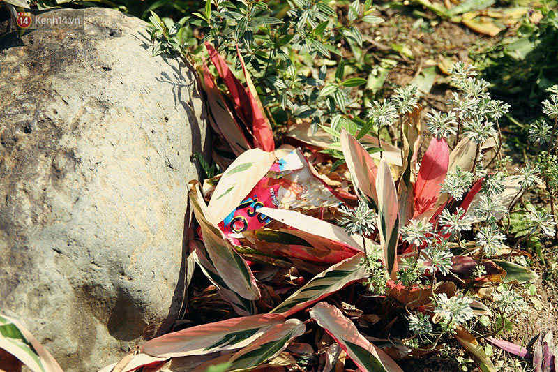 Hình ảnh xấu xí tại lễ hội hoa hồng Bulgaria: Người dân trèo rào, kéo hoa bất chấp để chụp ảnh